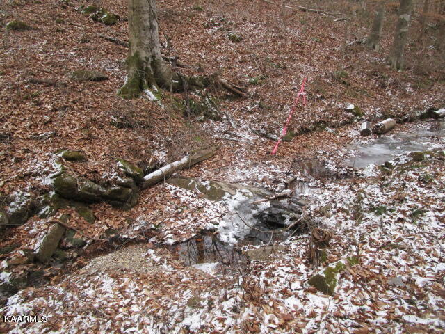 Nicely Ridge Circle Washburn, TN 37888 - Photo 6 of 7 IMG_3625