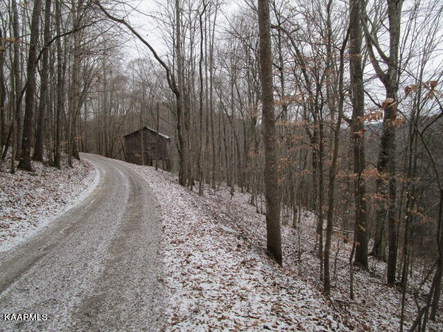 Nicely Ridge Circle Washburn, TN 37888 - Photo 7 of 7 IMG_3620