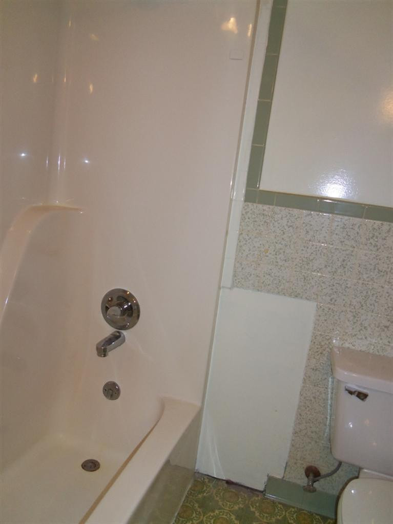 310 Delaney Ferry Road Versailles, KY 40383 - Photo 28 of 40 Hall bath with shower tub.