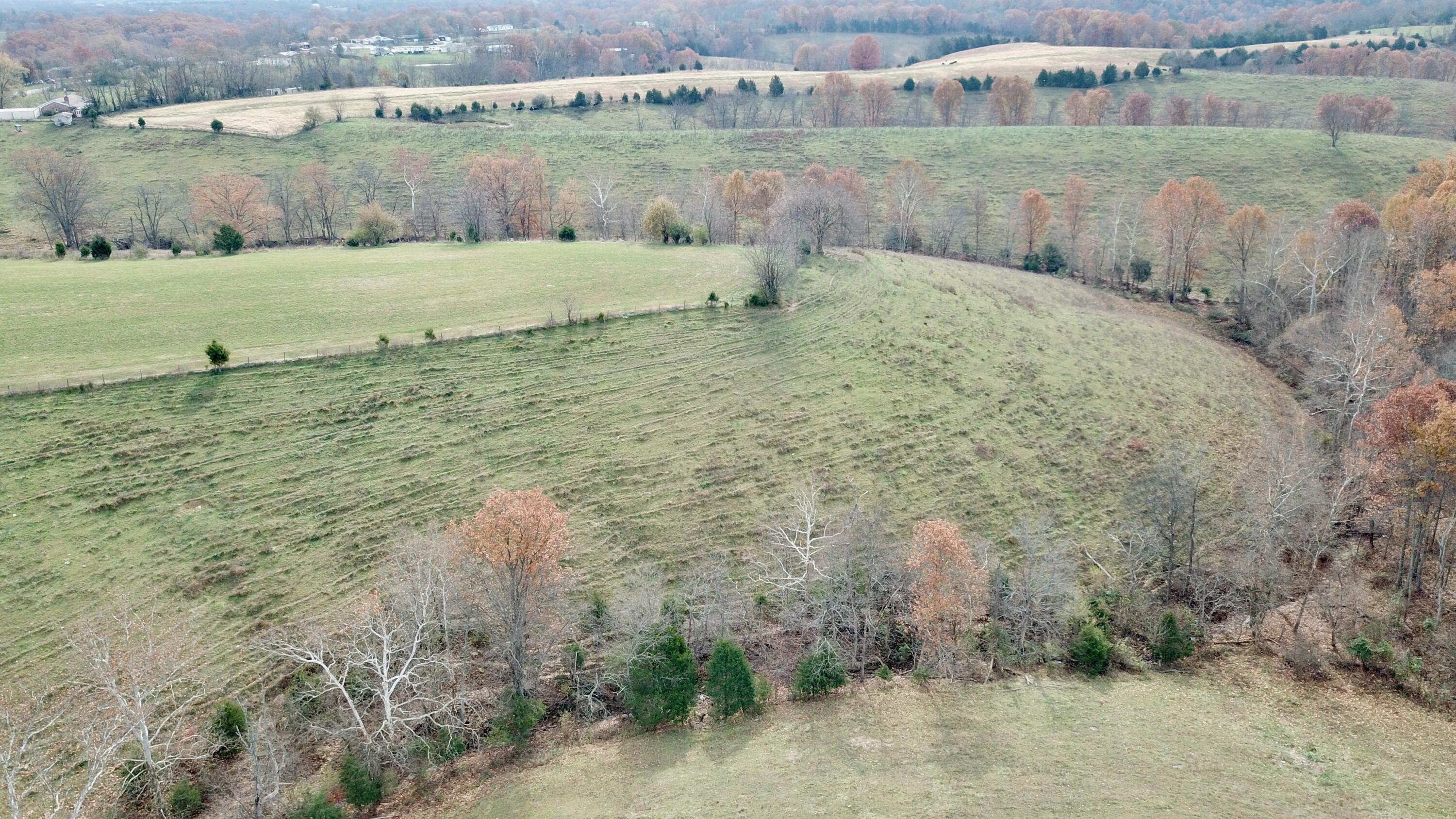 0 Gratz Road Owenton, KY 40359 - Photo 20 of 40