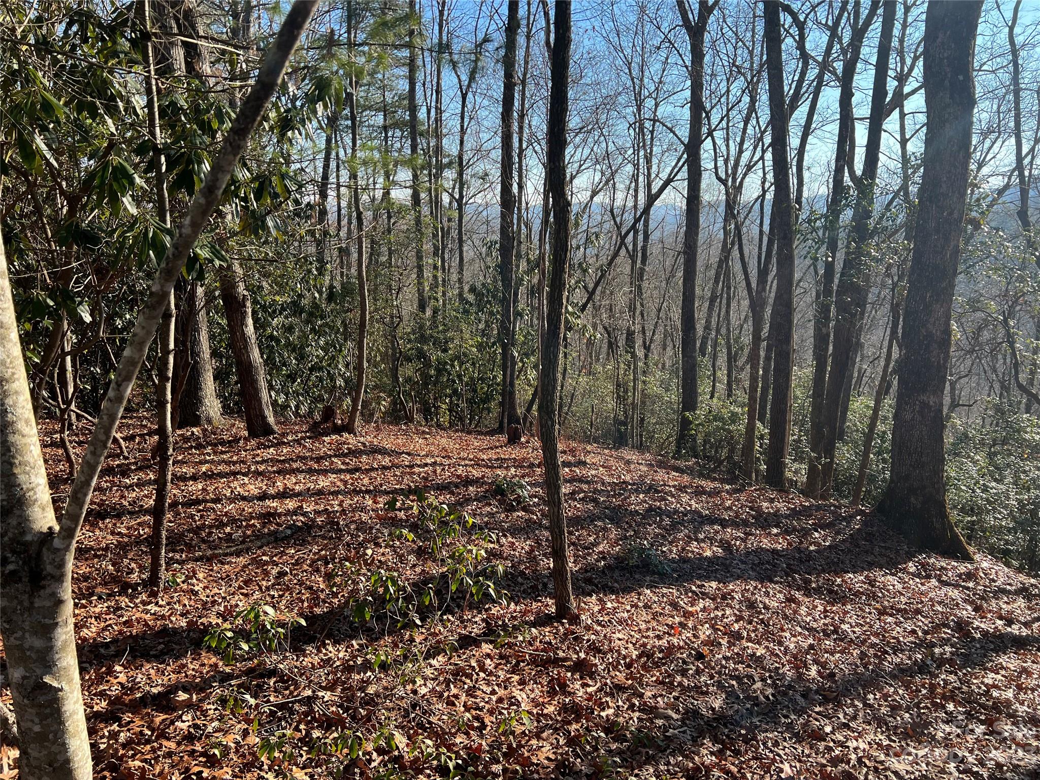 Tbd Gray Fox Road Rosman, NC 28772 - Photo 12 of 36 Gallery Image 12