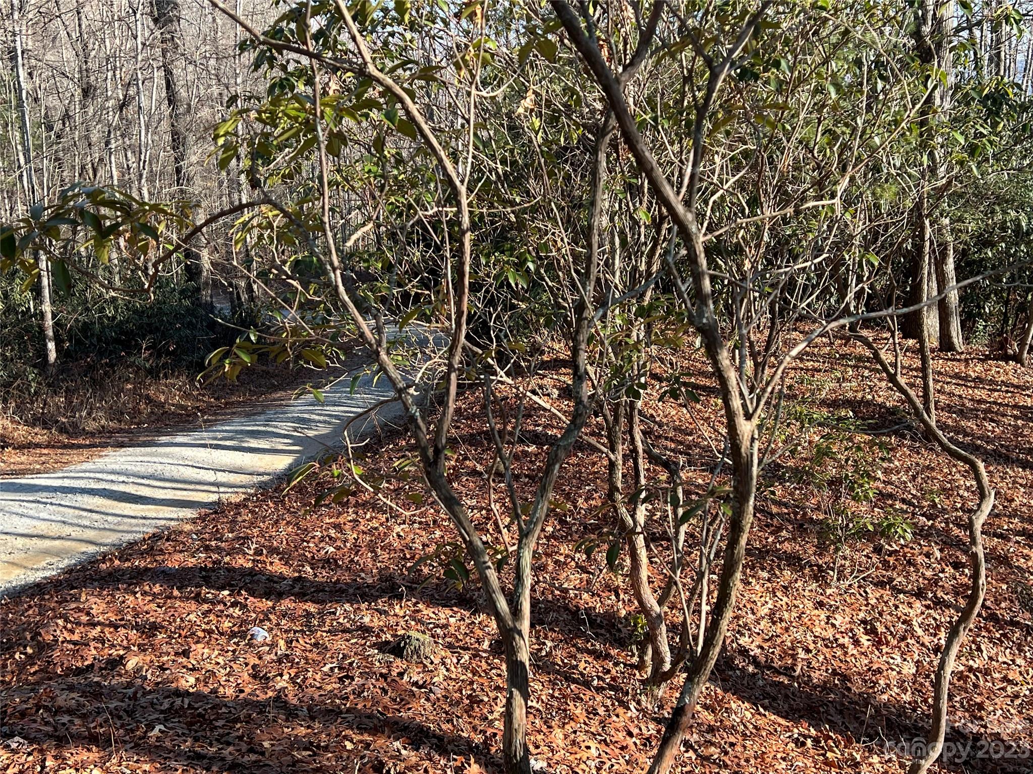 Tbd Gray Fox Road Rosman, NC 28772 - Photo 23 of 36 Gallery Image 23