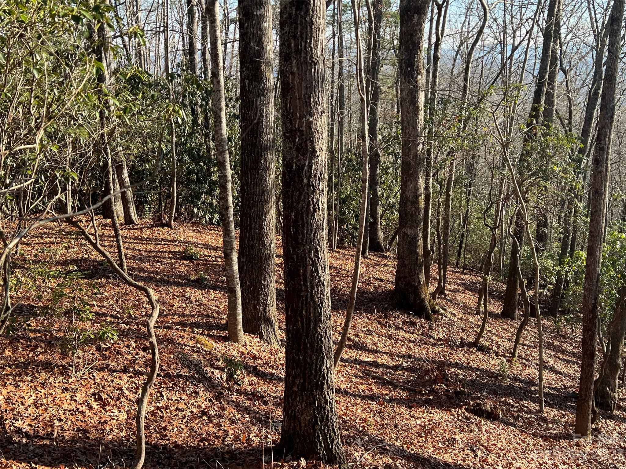 Tbd Gray Fox Road Rosman, NC 28772 - Photo 24 of 36 Gallery Image 24