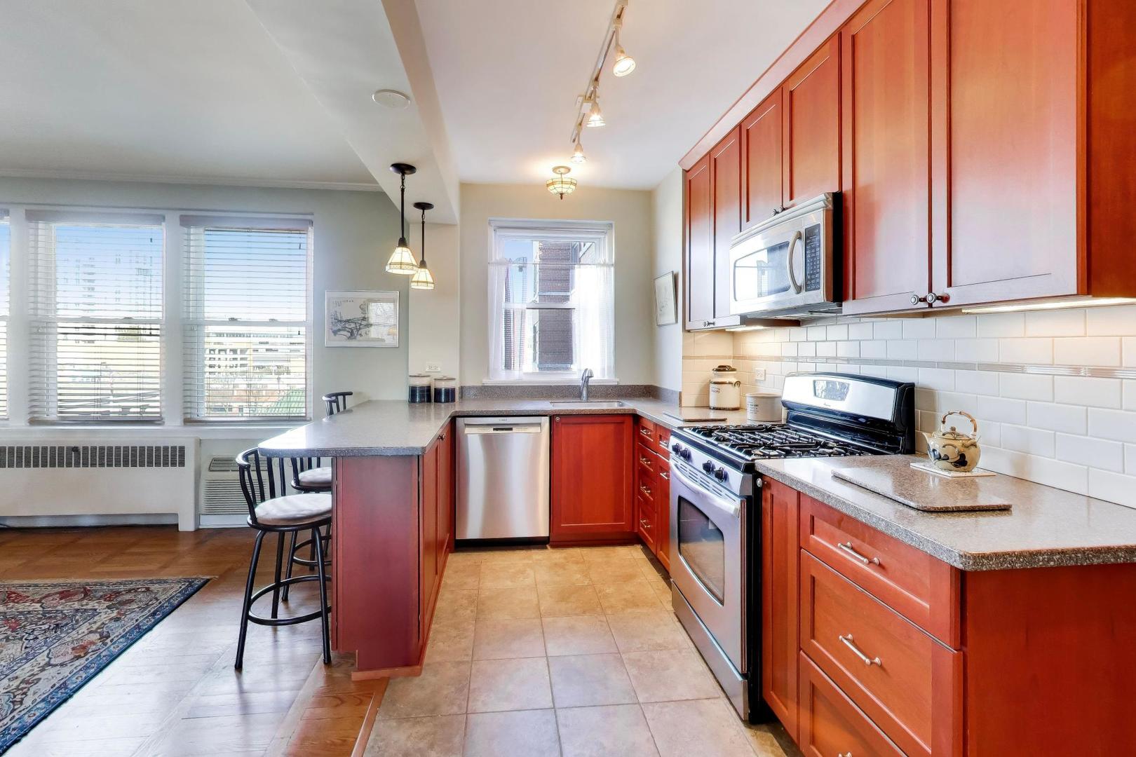 1585 Ridge Avenue, Unit 505 Evanston, IL 60201 - Photo 14 of 27