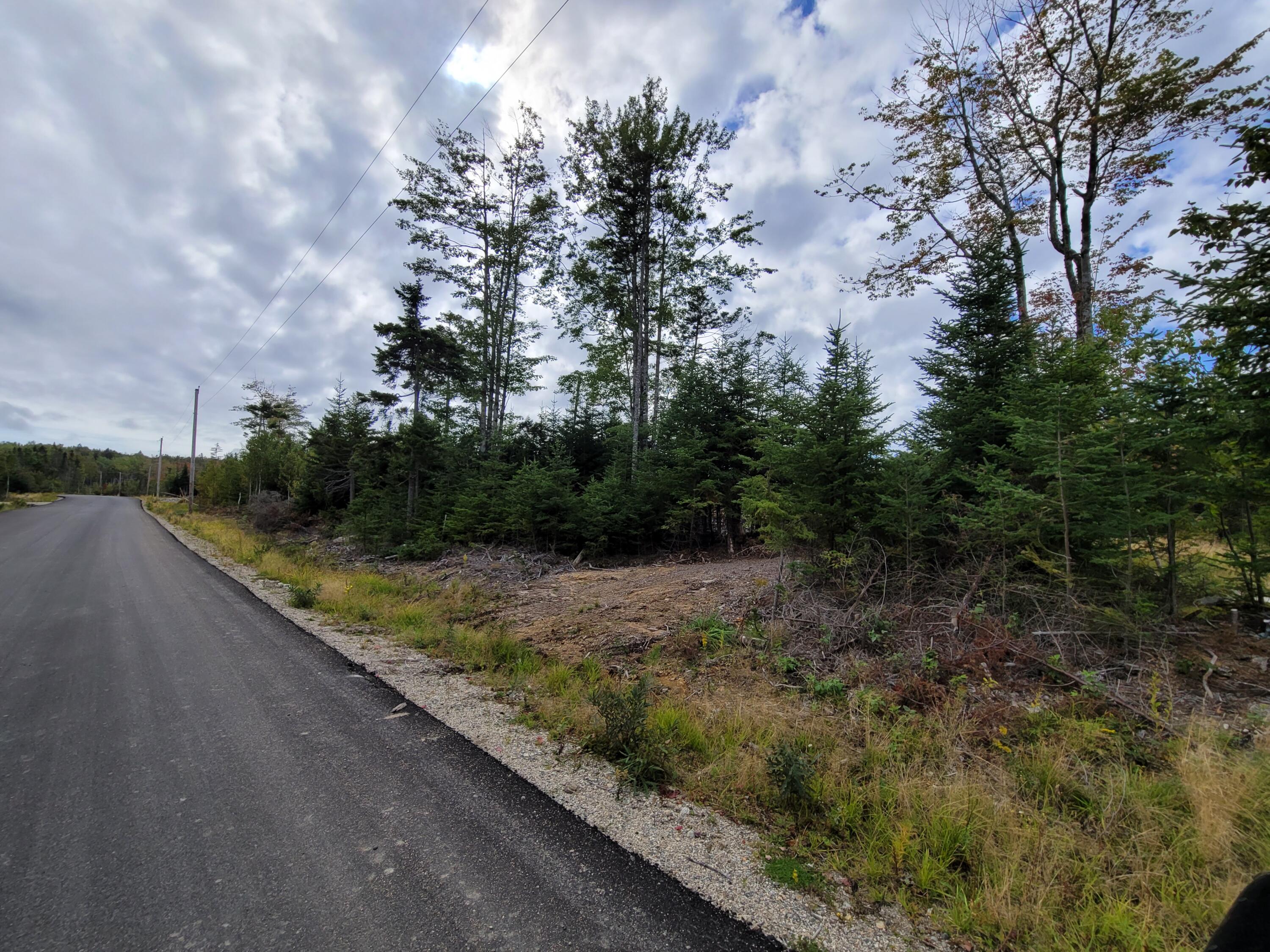 36 Peninsula Shores Road Corea, ME 04624 - Photo 13 of 13 Paved Access Road
