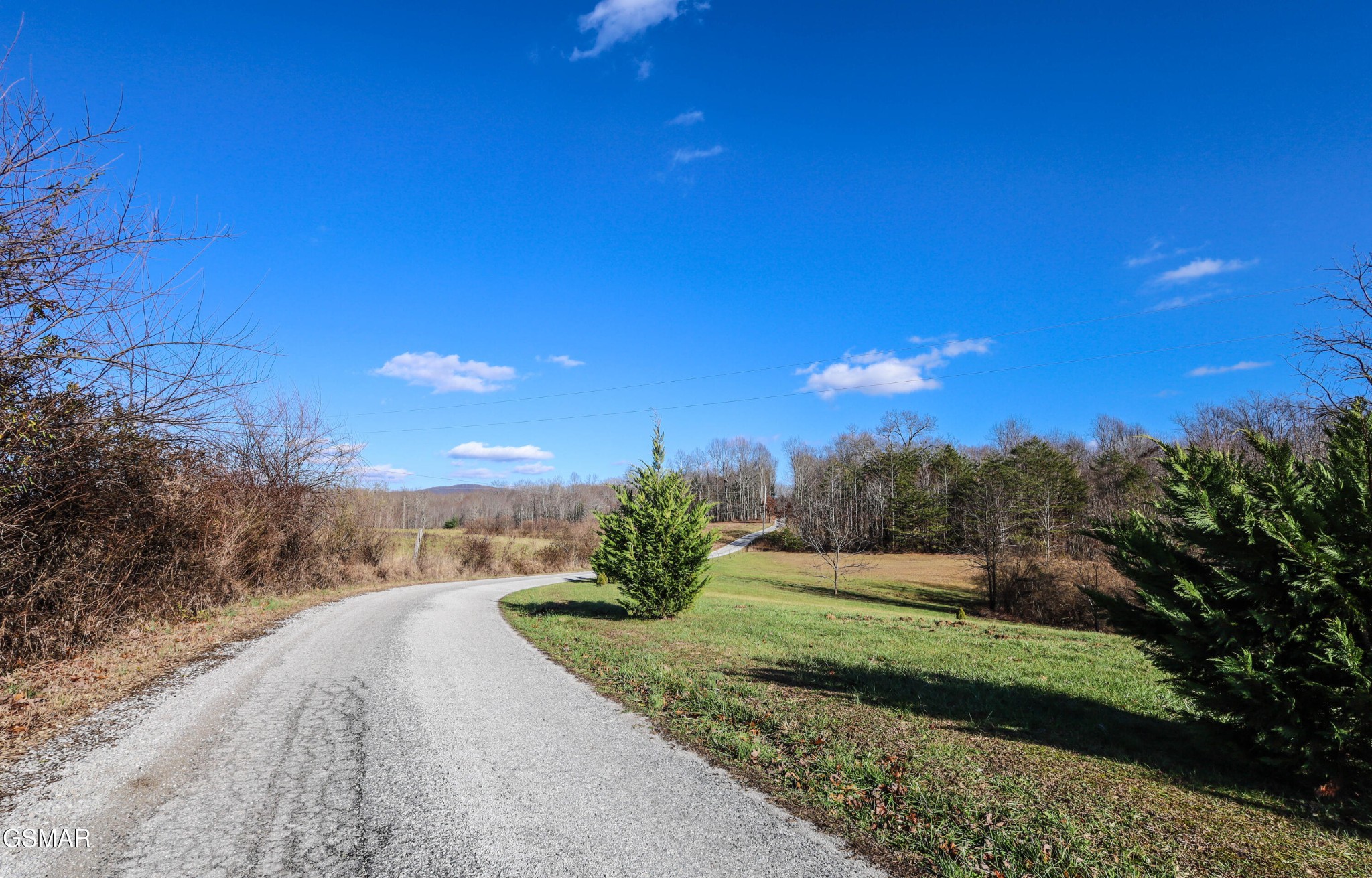 420 Newport Road Sunbright, TN 37872 - Photo 29 of 30 Gallery Image 29