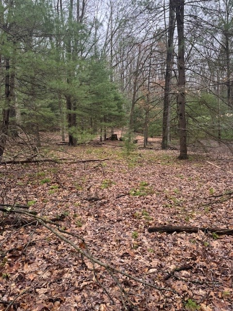 0 Iron Bridge Road Clarington, PA 15828 - Photo 3 of 5