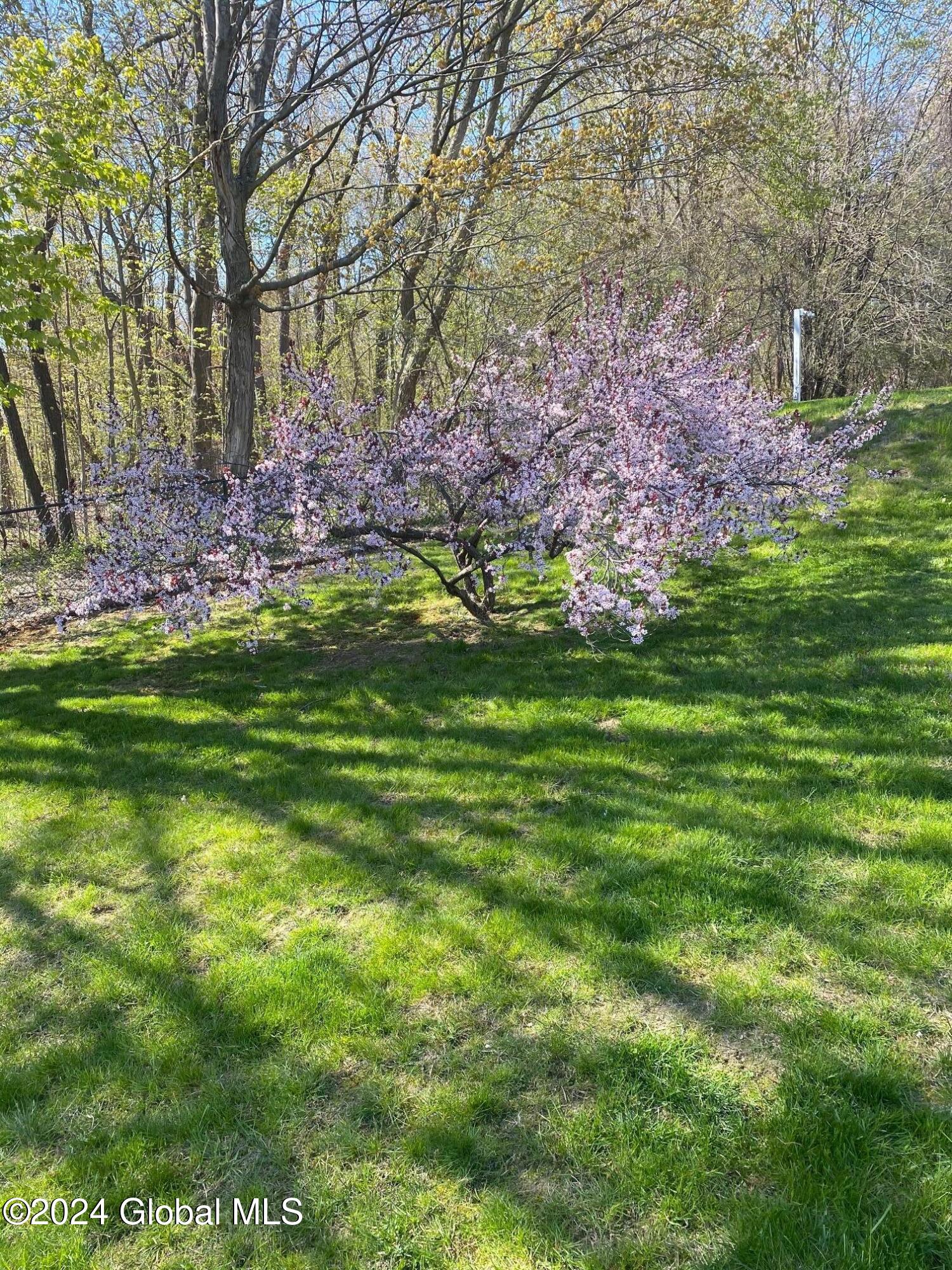 1602 Spring Avenue Wynantskill, NY 12198 - Photo 38 of 43 IMG_0002