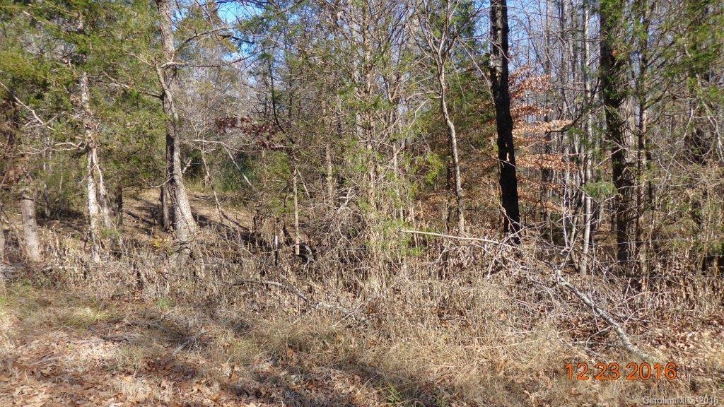 0 Broadhurst Road, Unit 4B Clover, SC 29710 - Photo 11 of 15
