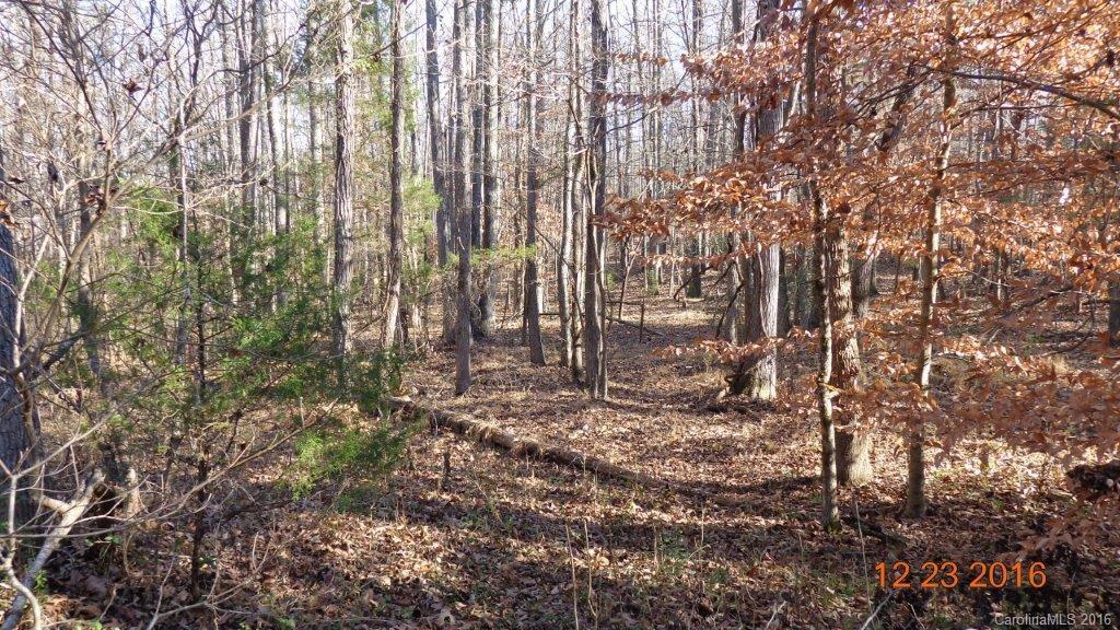 0 Broadhurst Road, Unit 4B Clover, SC 29710 - Photo 12 of 15