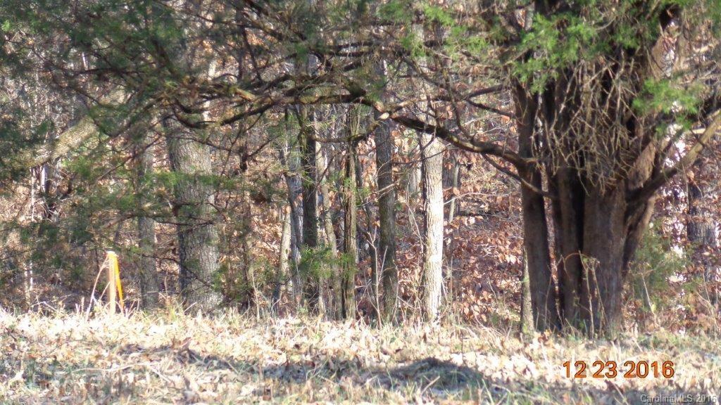 0 Broadhurst Road, Unit 4B Clover, SC 29710 - Photo 13 of 15