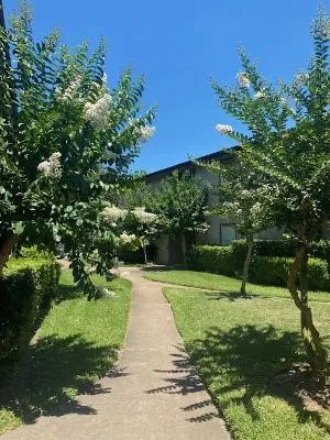 a view of a garden with a bench