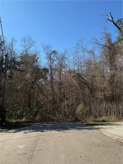 $600,000 | 0 Copal Street, Mandeville, LA 70448