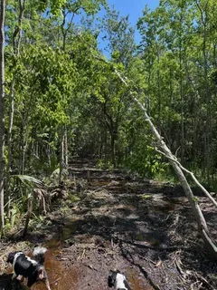 $600,000 | 0 Copal Street, Mandeville, LA 70448