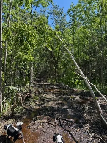 $600,000 | 0 Copal Street, Mandeville, LA 70448