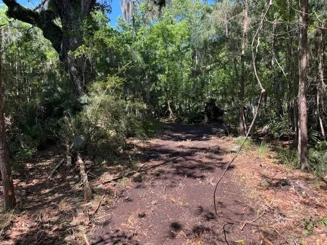 $600,000 | 0 Copal Street, Mandeville, LA 70448