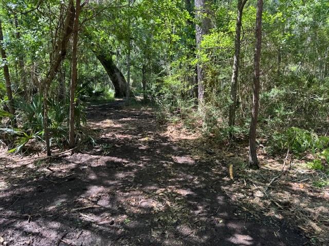 0 Copal Street Mandeville, LA 70448 - Photo 8 of 13