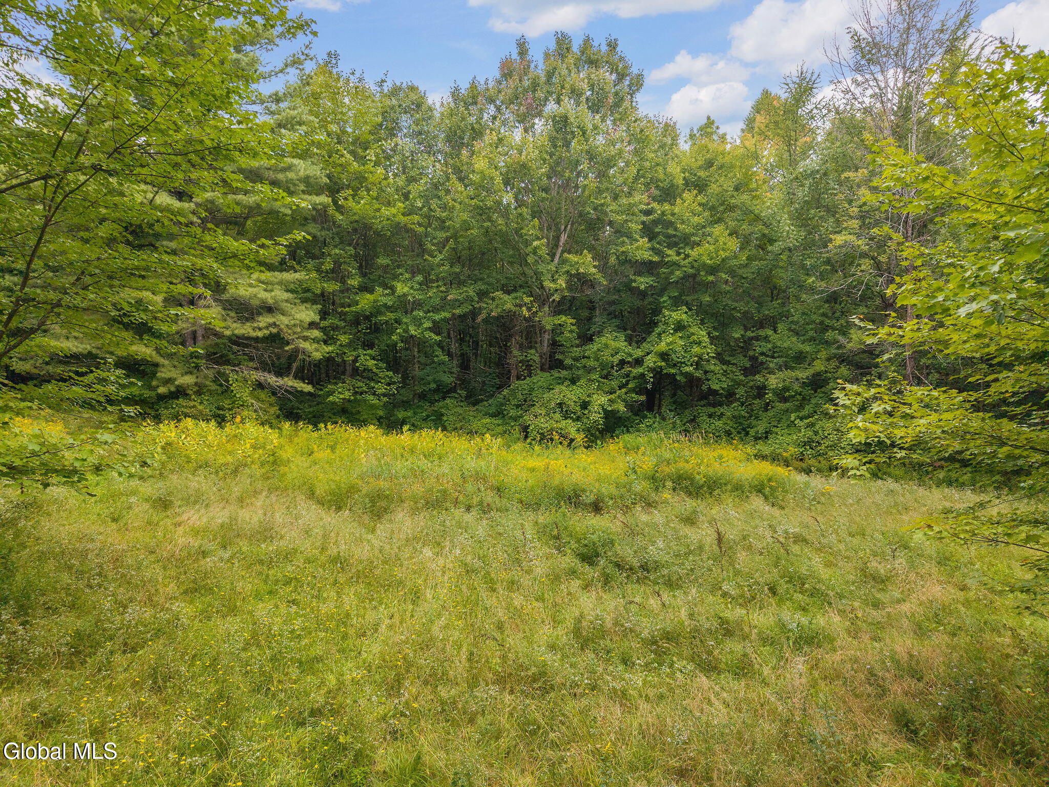 139 Auser Road Charleston, NY 12066 - Photo 63 of 66 64-139AuserRd_057