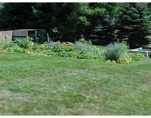 466 Warren Wright Road Belchertown, MA 01007 - Photo 10 of 10 a view of backyard with green space