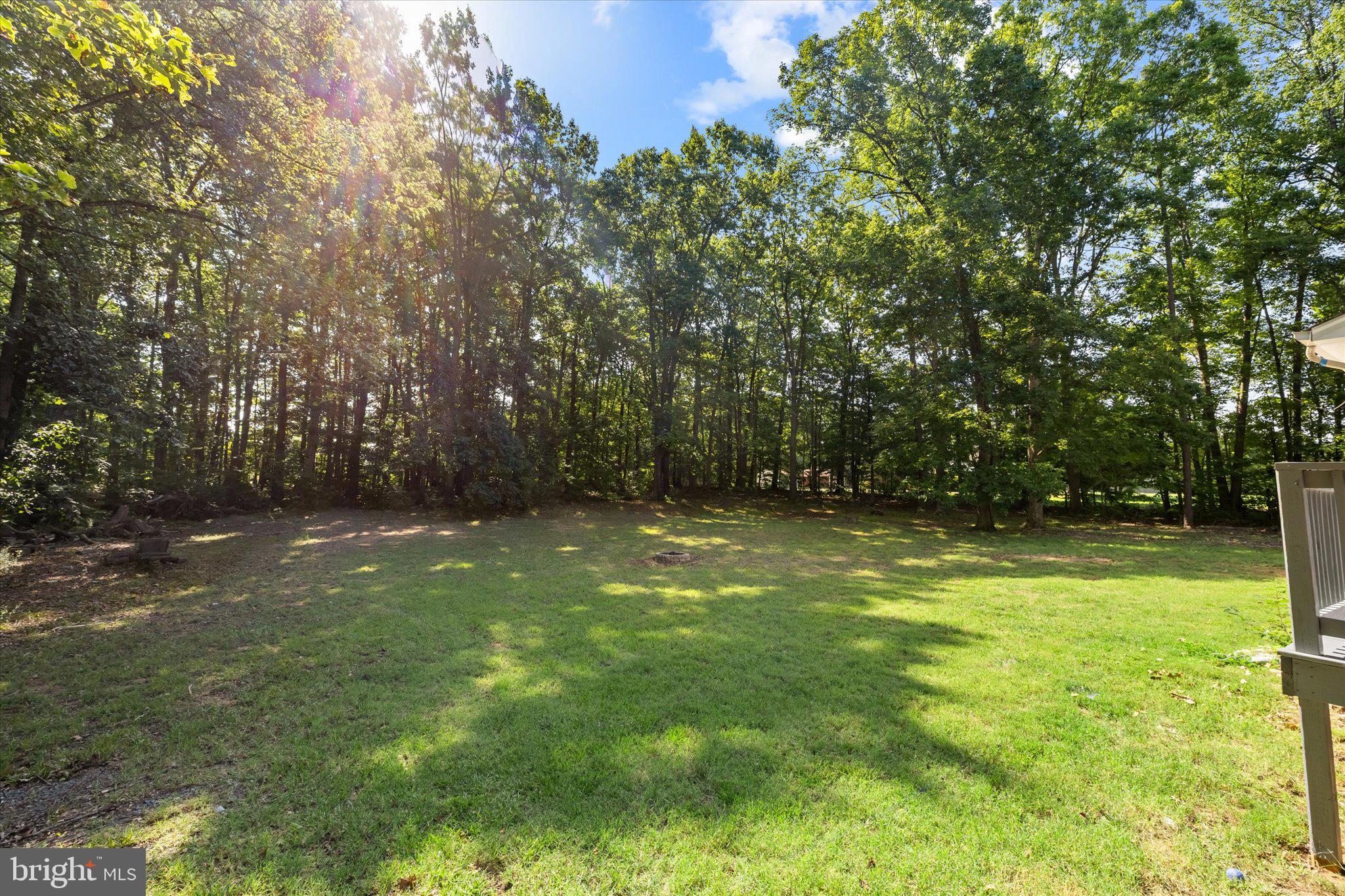 252 Evergreen Road Louisa, VA 23093 - Photo 34 of 39 backyard