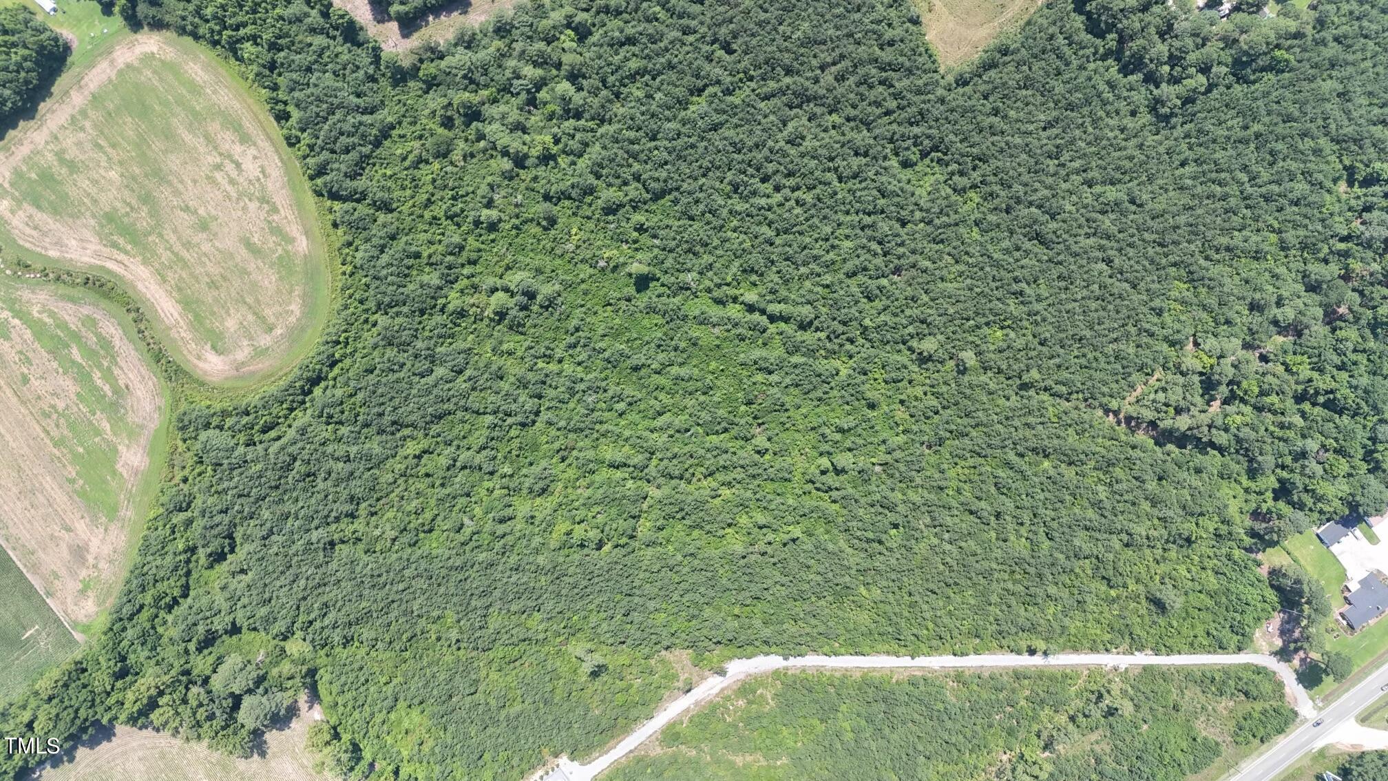 0 H B Lewis Road Clinton, NC 28328 - Photo 5 of 9 Aerial 3