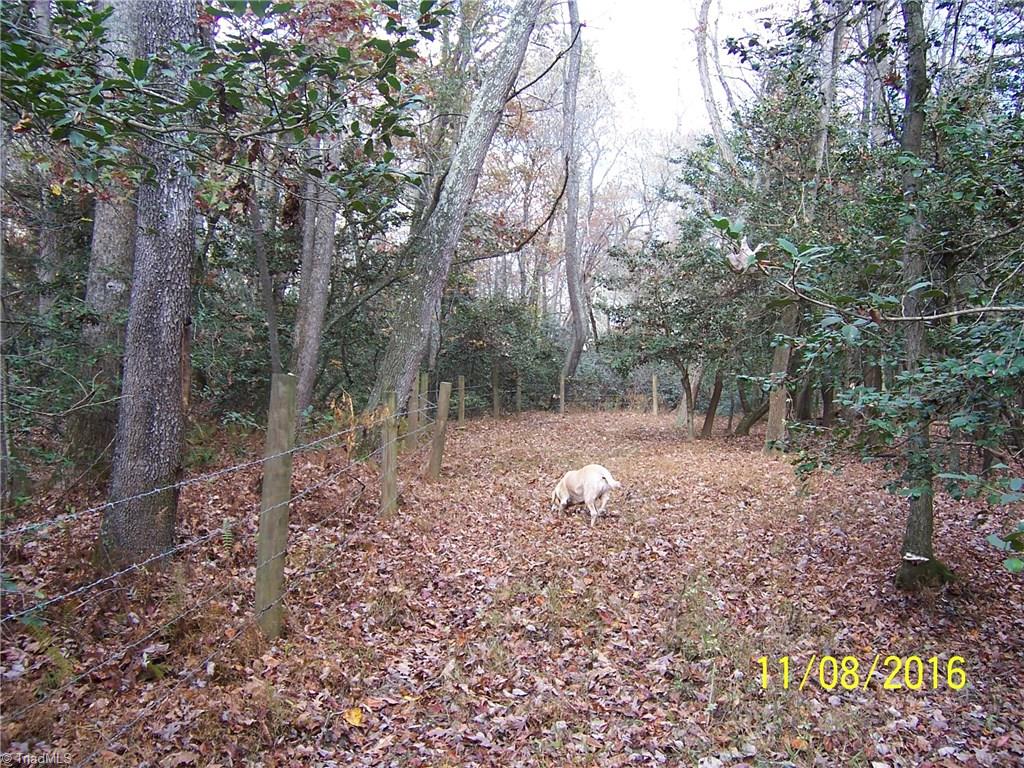 0 Gentry Road Elkin, NC 28621 - Photo 19 of 30 The fencing is in good condition and goes around the property boundaries even through the wooded areas.