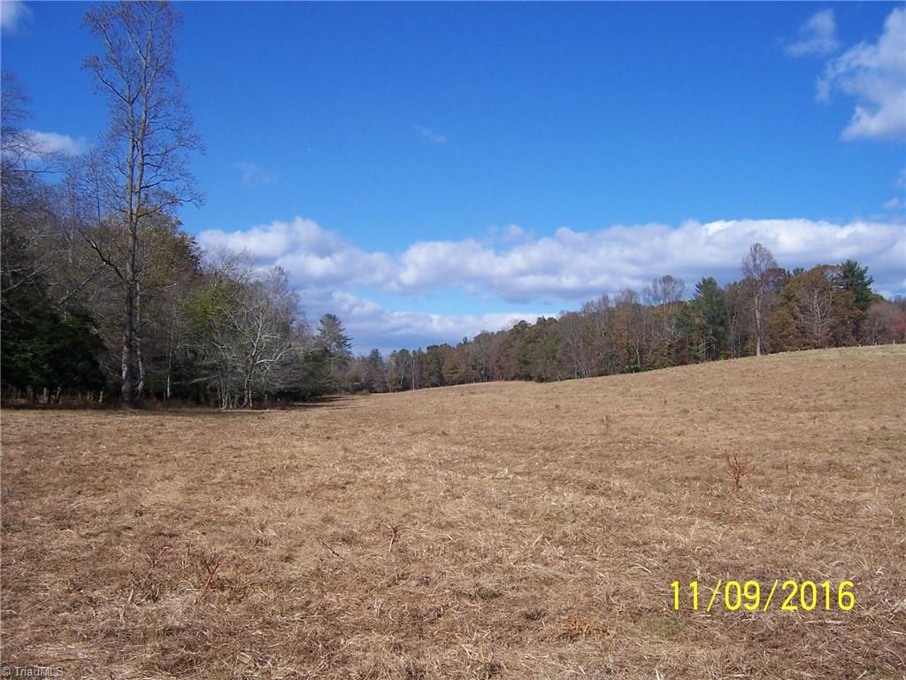 0 Gentry Road Elkin, NC 28621 - Photo 22 of 30 This view is looking from the lower end near the highway to the upper end where the water flows over the rock.