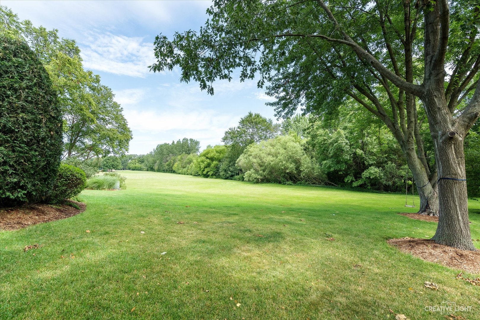 409 Flock Avenue Naperville, IL 60565 - Photo 40 of 48 a view of field with tall trees