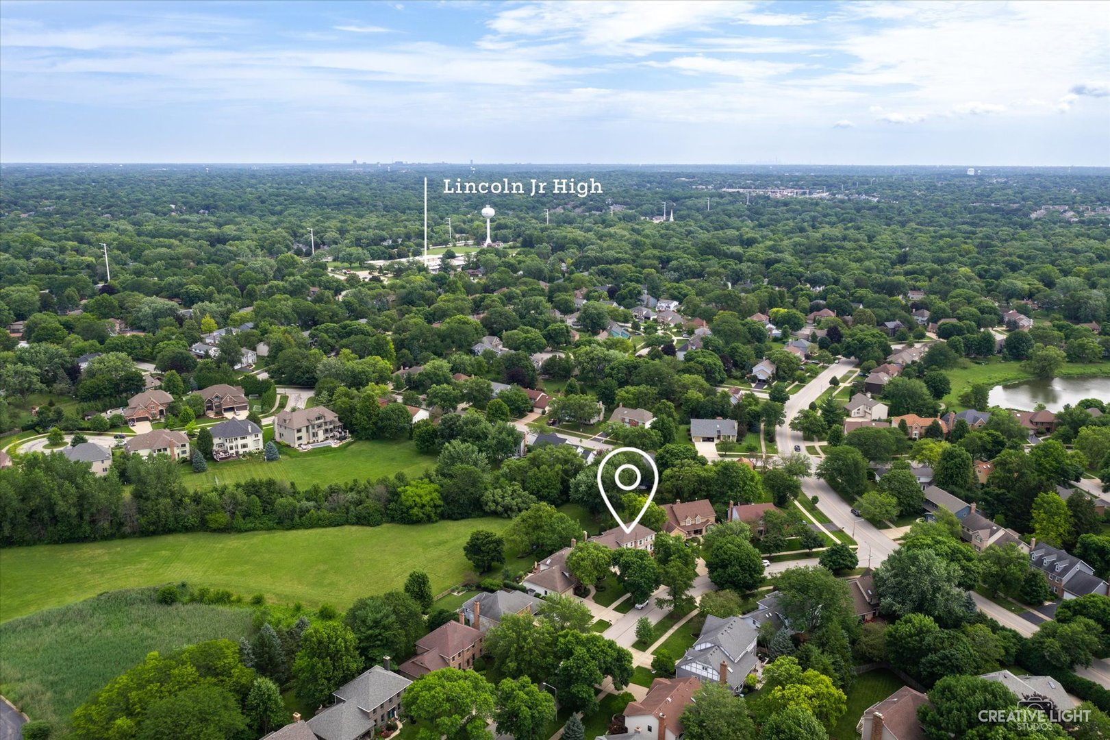 409 Flock Avenue Naperville, IL 60565 - Photo 41 of 48 a view of a city