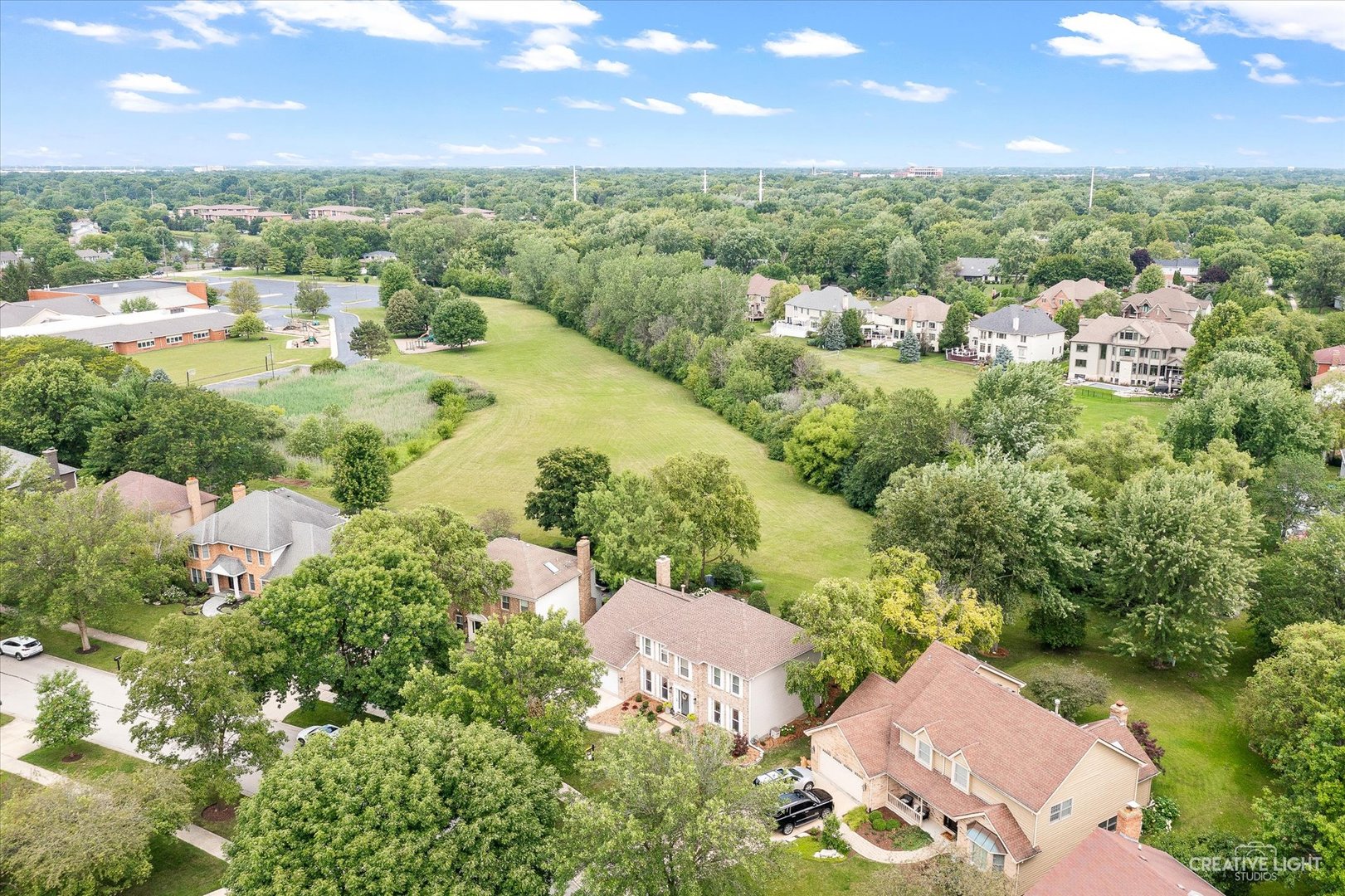 409 Flock Avenue Naperville, IL 60565 - Photo 42 of 48 a view of a city