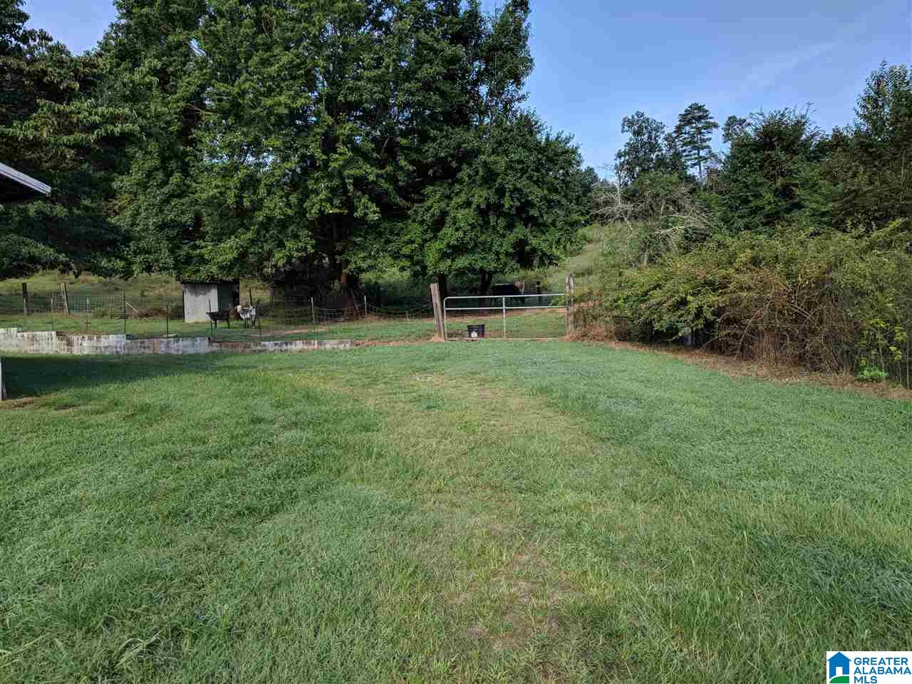 881 Douglas Lane Oneonta, AL 35121 - Photo 16 of 27