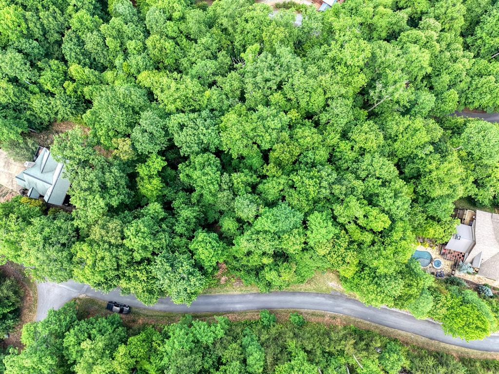 Lot2 Deer Crest Overlook Blue Ridge, GA 30513 - Photo 12 of 12 overhead aerial view