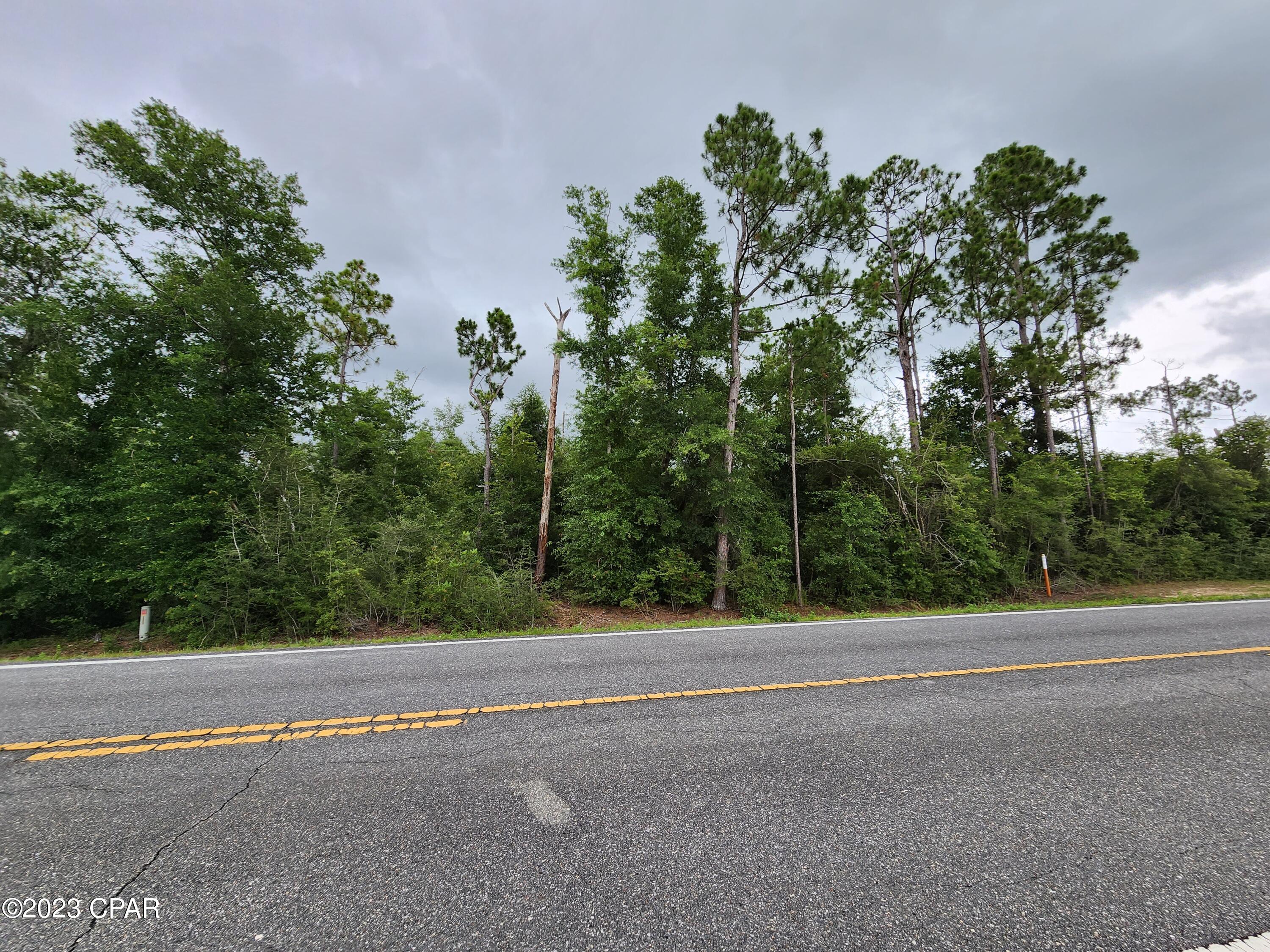 0 Lakepoint Road, Unit LOT 7 Alford, FL 32420 - Photo 5 of 9