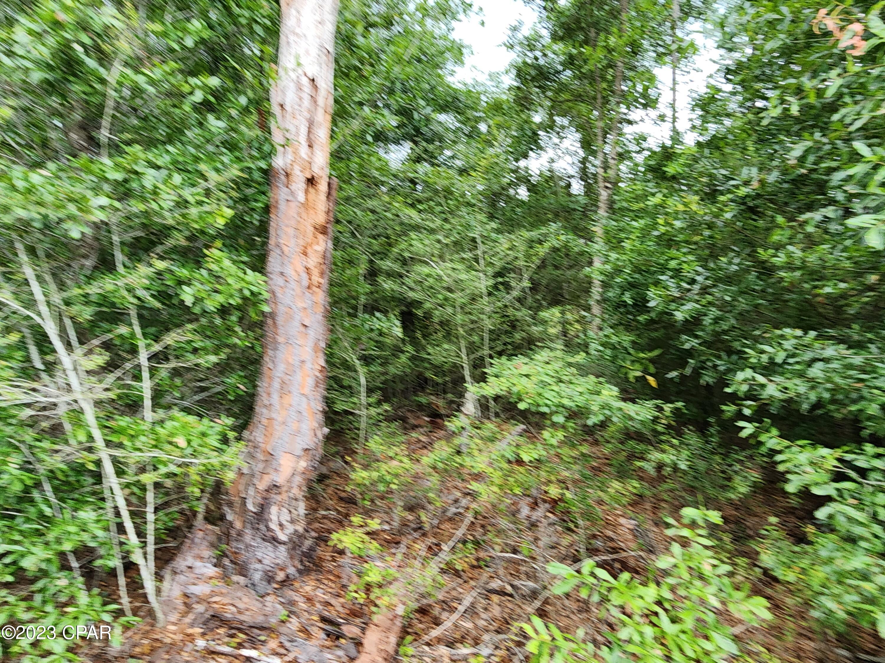 0 Lakepoint Road, Unit LOT 7 Alford, FL 32420 - Photo 8 of 9