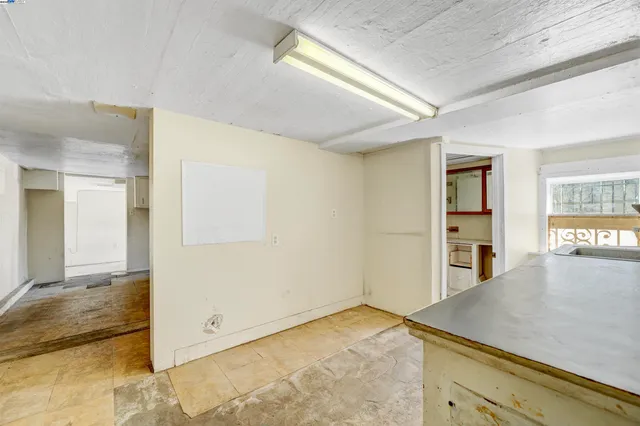 a view of a backyard with potted plants and large tree