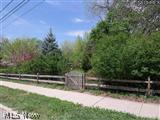 3368 Rumson Road Cleveland, OH 44118 - Photo 20 of 20 MAYFIELD ROAD LOT AT REAR OF PROPERTY