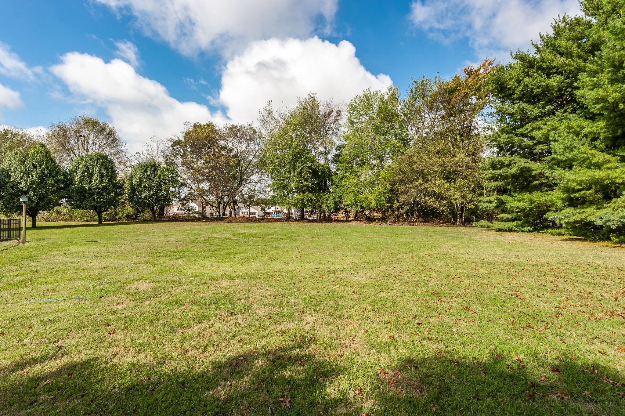 317 Cherry Lane White House, TN 37188 - Photo 24 of 70 a view of yard with green space