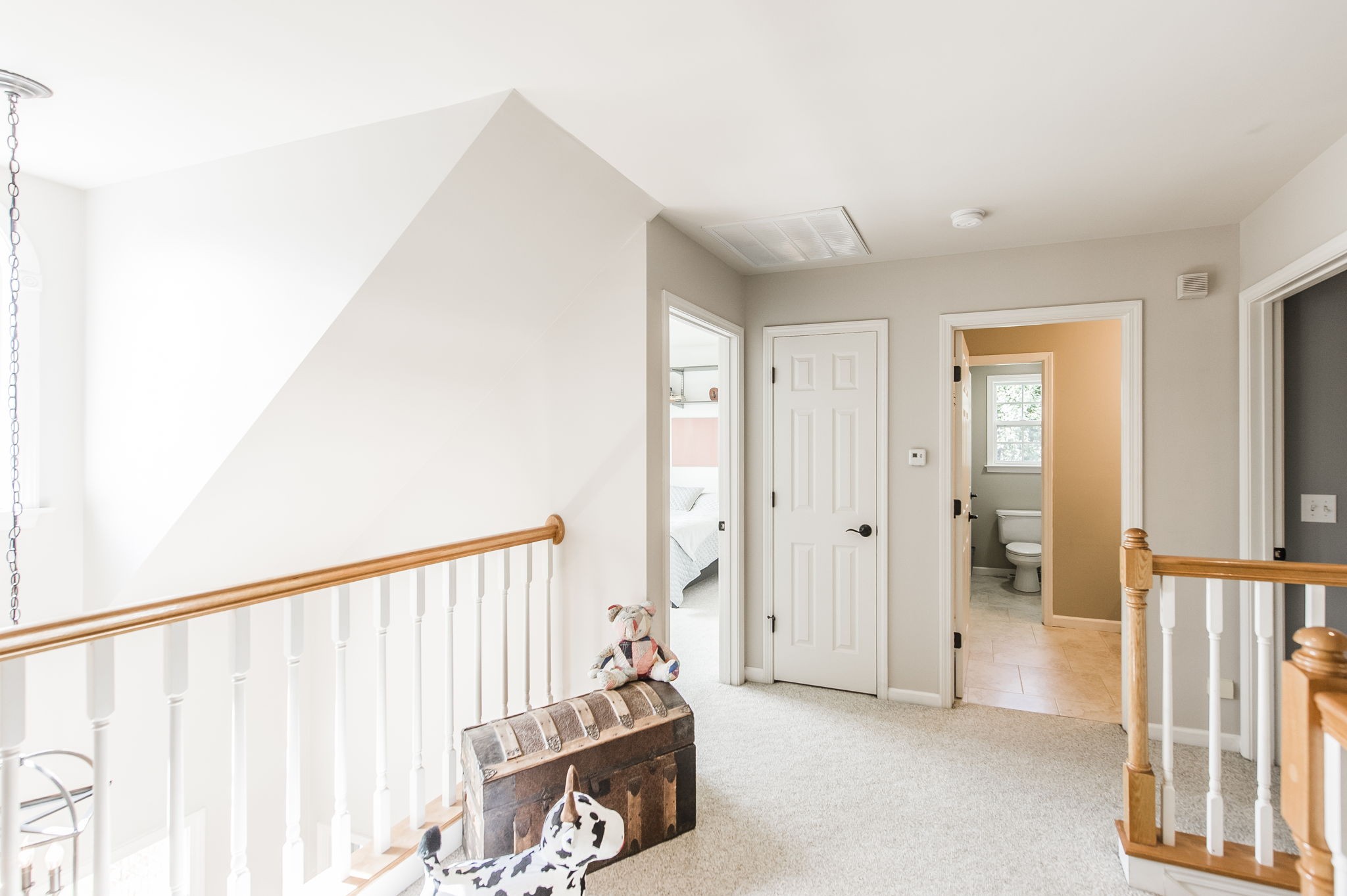 317 Cherry Lane White House, TN 37188 - Photo 53 of 70 a view of a hallway with closet area