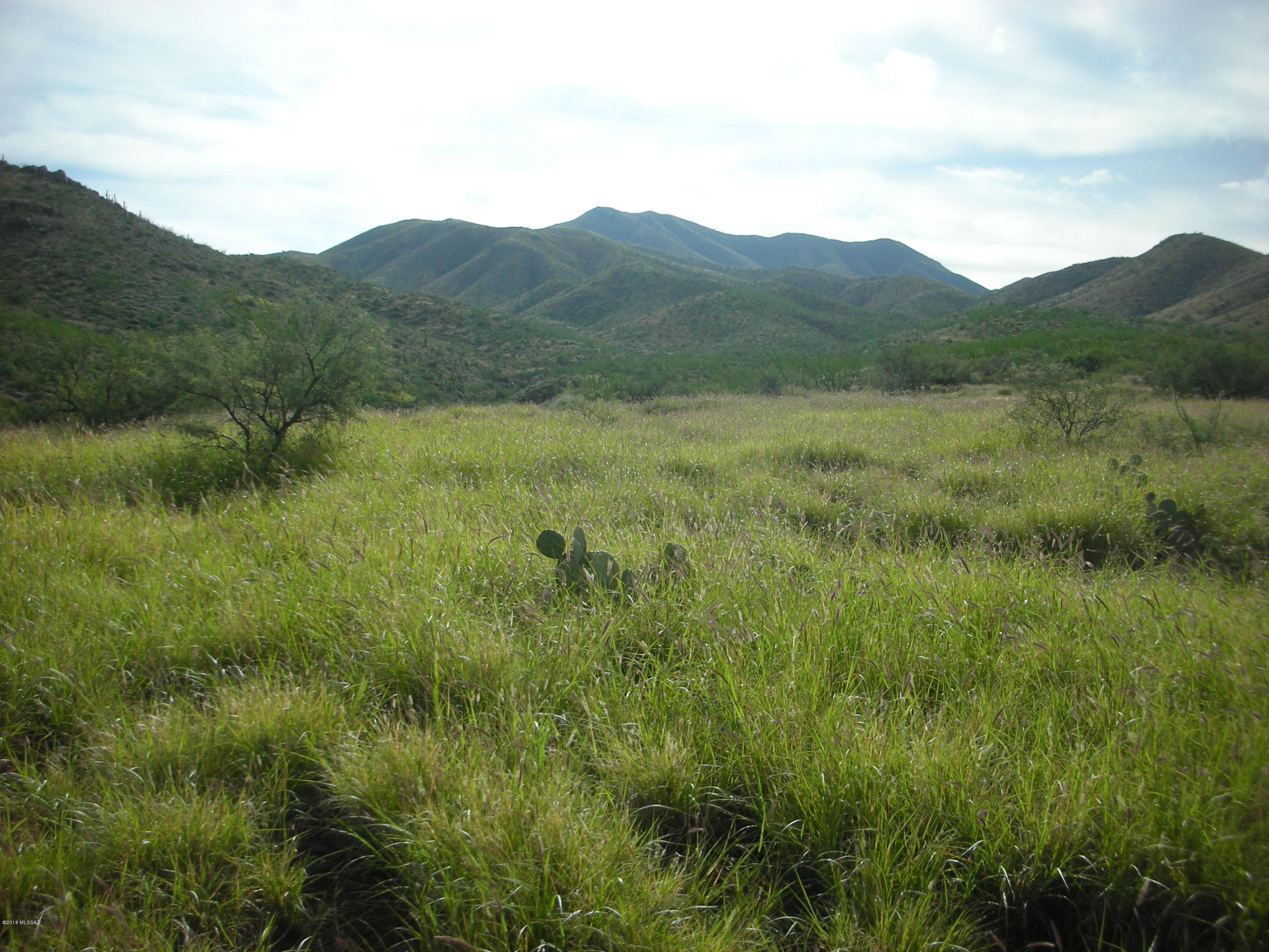 10600 East Ocotillo Rim Trail Vail, AZ 85641 - Photo 10 of 24 Gallery Image 10