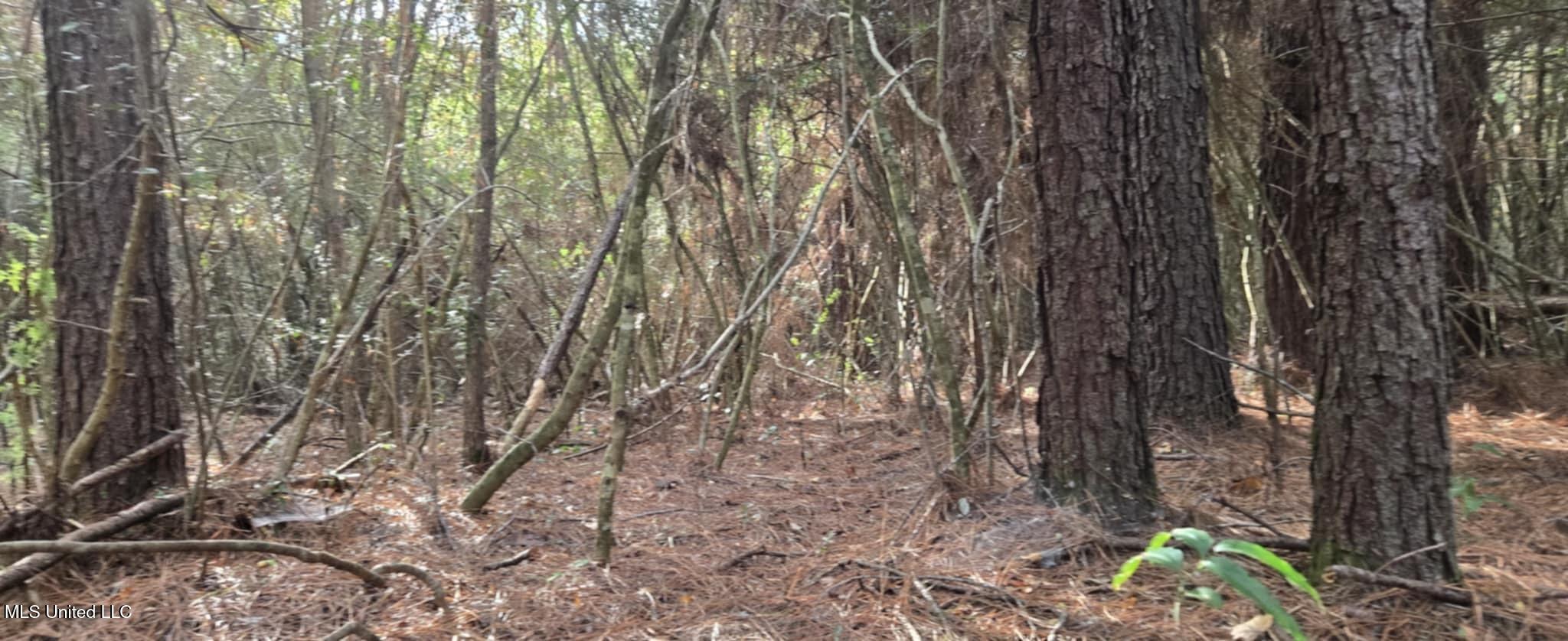 07cfd289-6241-41f1-8922-5433096554b9