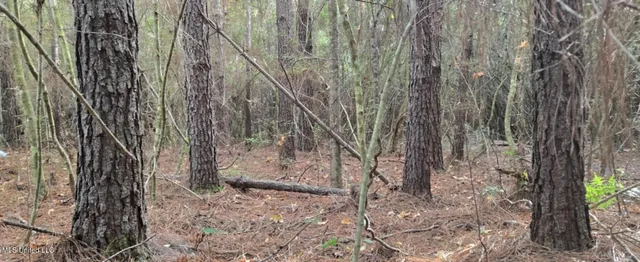 $9,900 | 275 Pushapatapa Road, Tylertown, MS 39667