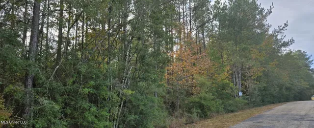 $9,900 | 275 Pushapatapa Road, Tylertown, MS 39667