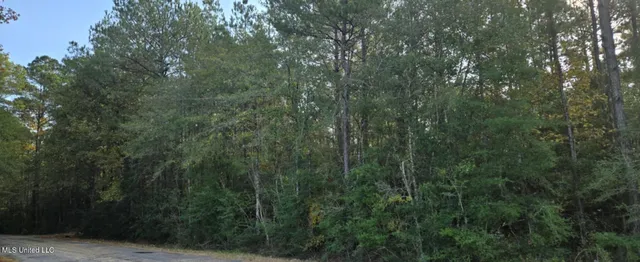 $9,900 | 275 Pushapatapa Road, Tylertown, MS 39667