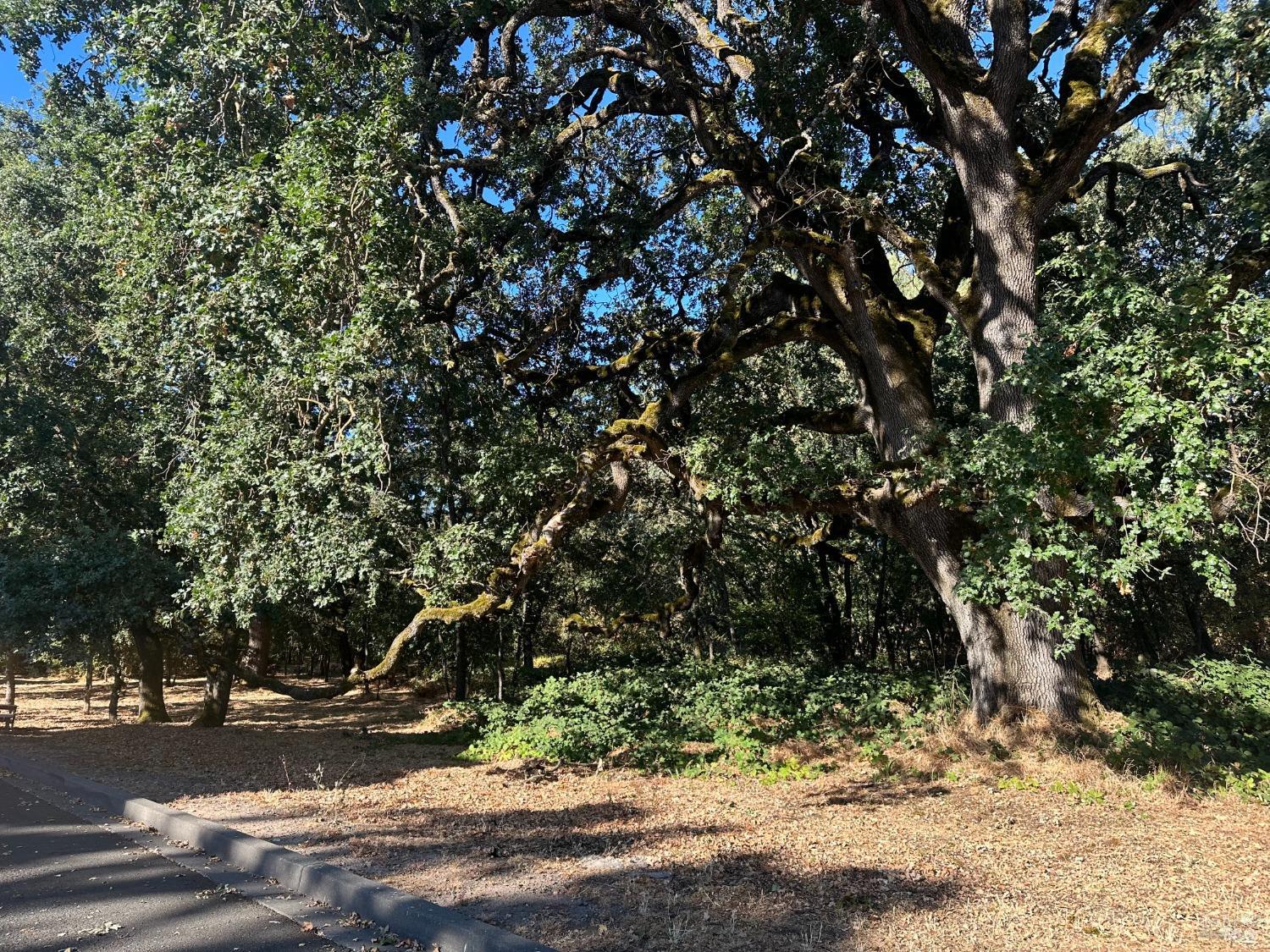 200 Napa Road Sonoma, CA 95476 - Photo 2 of 8