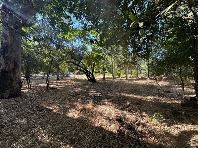 a view of outdoor space with trees