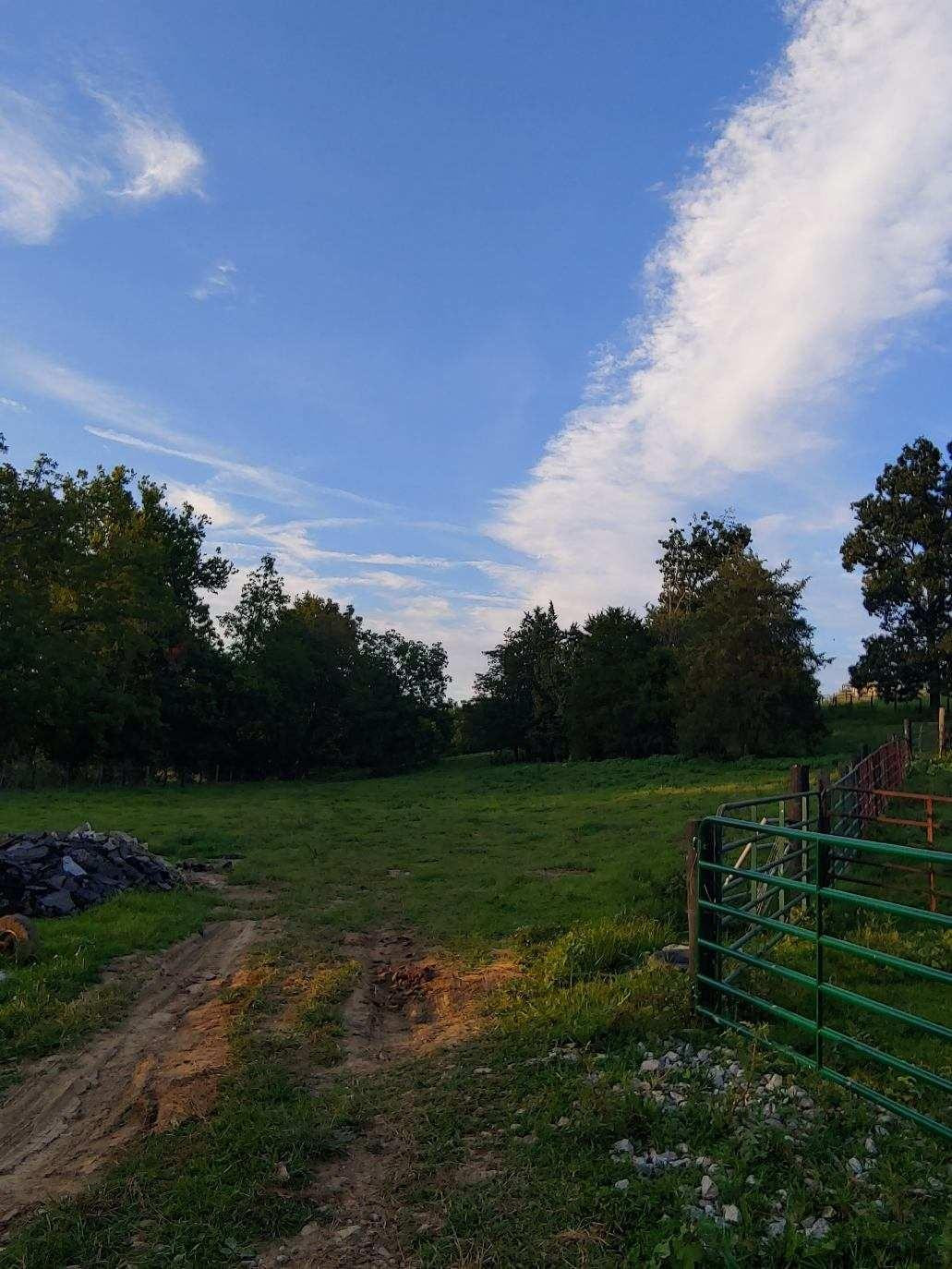 770 Little Stoner Road Winchester, KY 40391 - Photo 25 of 34 Listing Photo