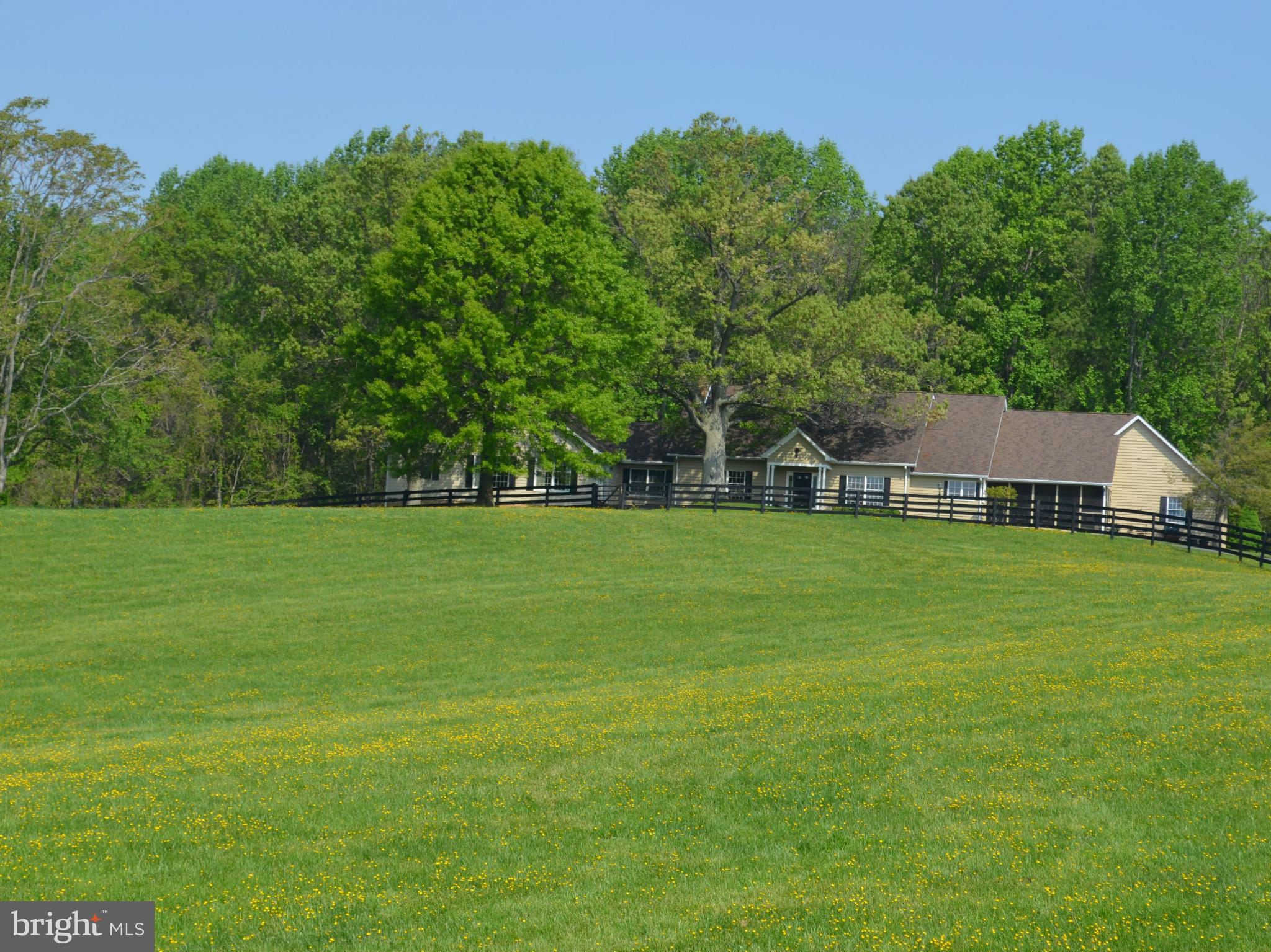 7630 Enon Church Road The Plains, VA 20198 - Photo 11 of 30 Main House from front paddock