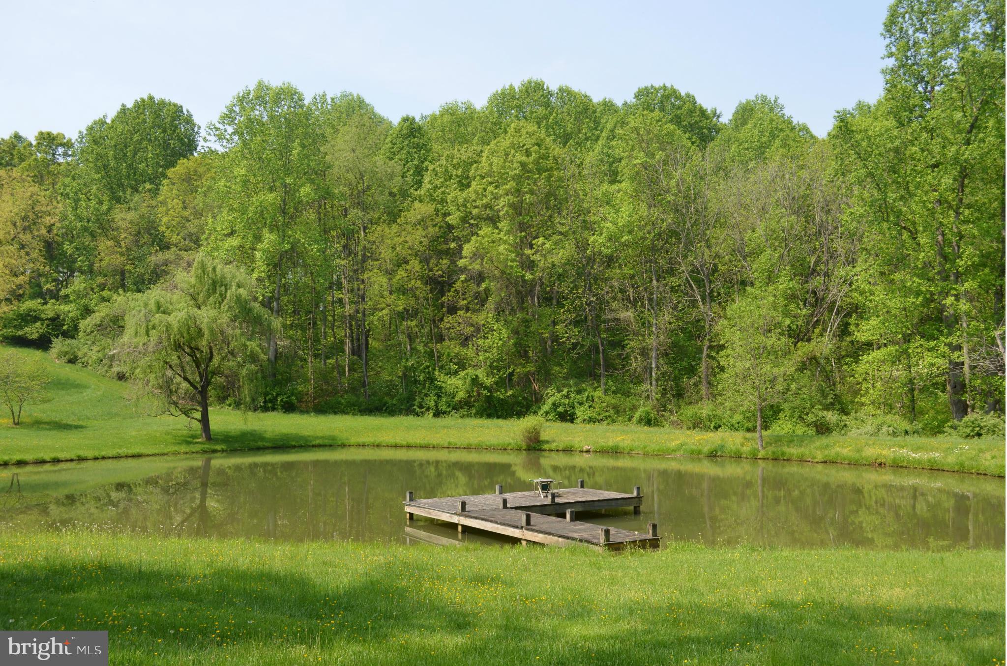 7630 Enon Church Road The Plains, VA 20198 - Photo 25 of 30 Pond