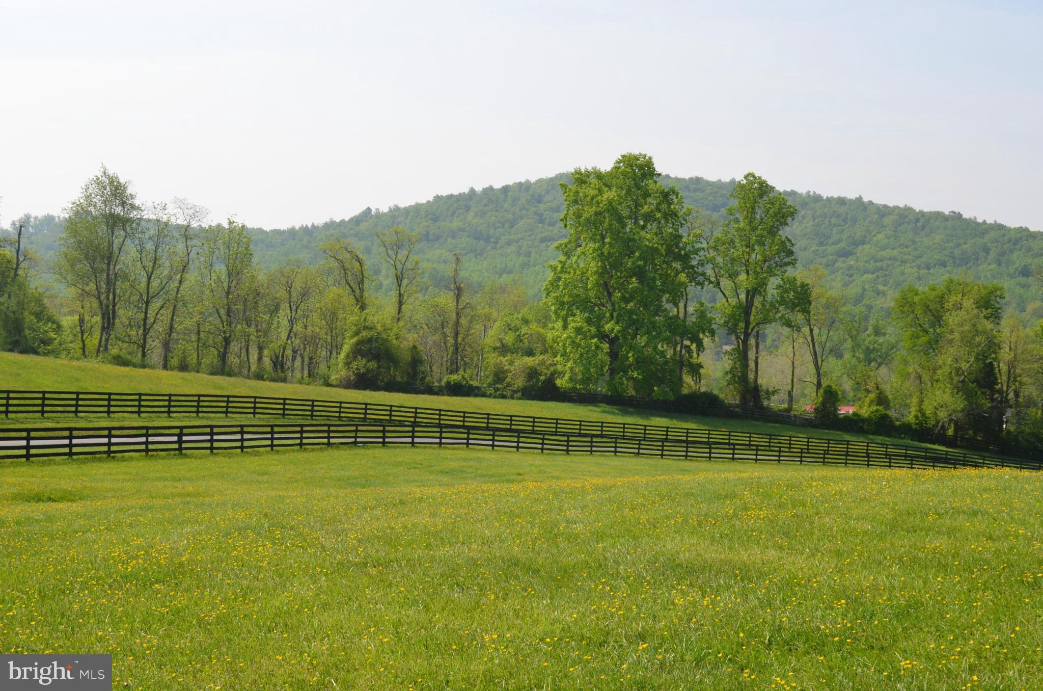 7630 Enon Church Road The Plains, VA 20198 - Photo 5 of 30 View
