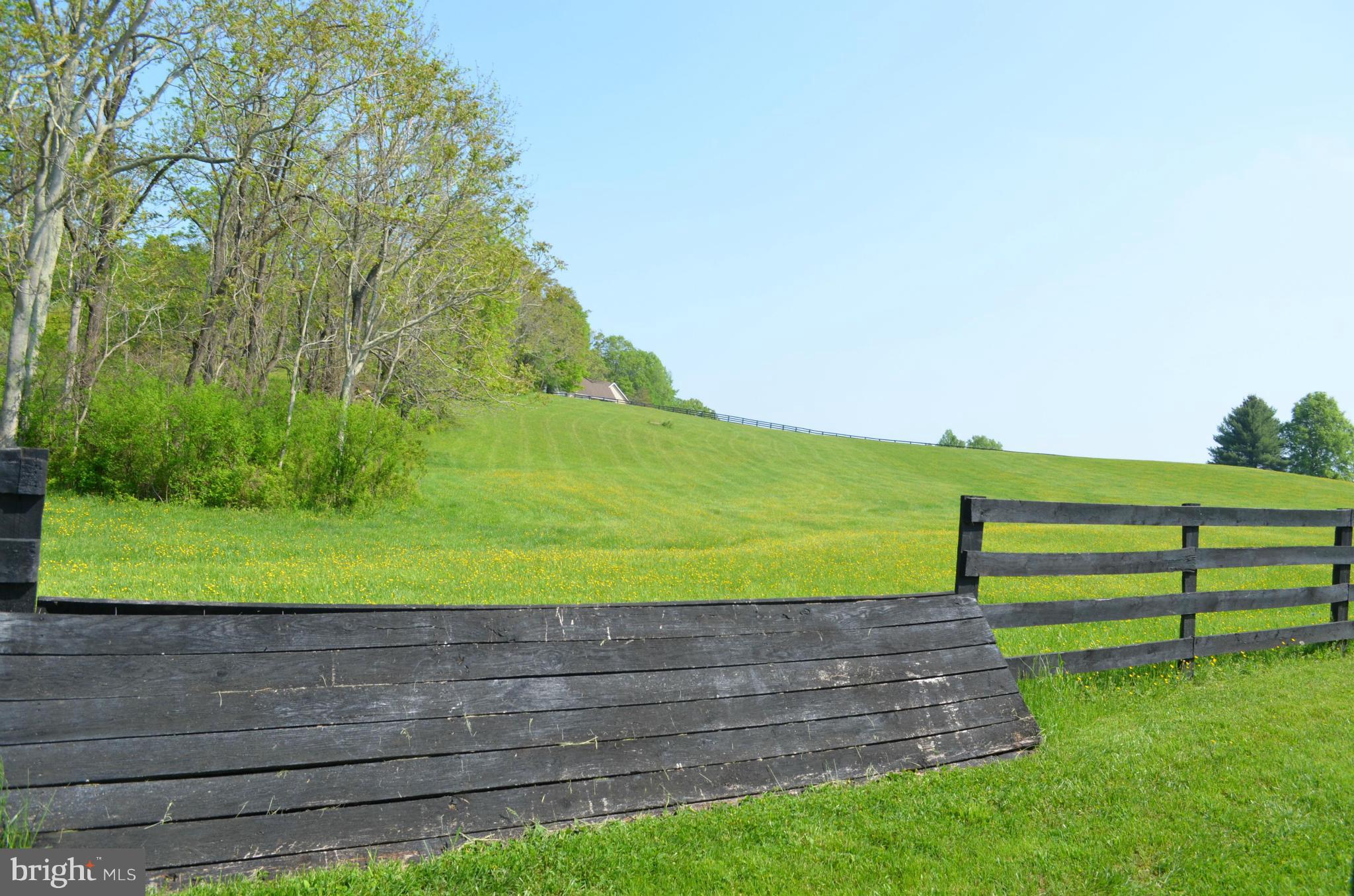 7630 Enon Church Road The Plains, VA 20198 - Photo 9 of 30 View